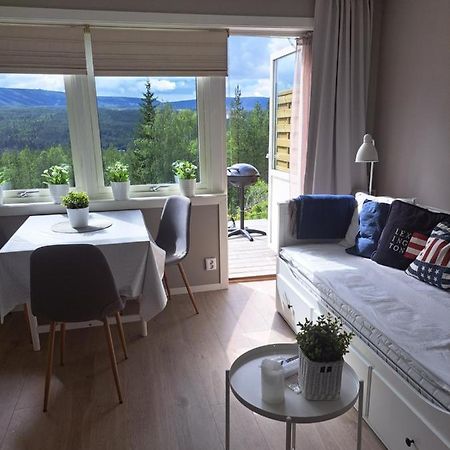Mysig Laegenhet Med Fjaellutsikt I Saelen Apartment Exterior photo